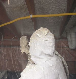 Hampton VA crawl space insulation
